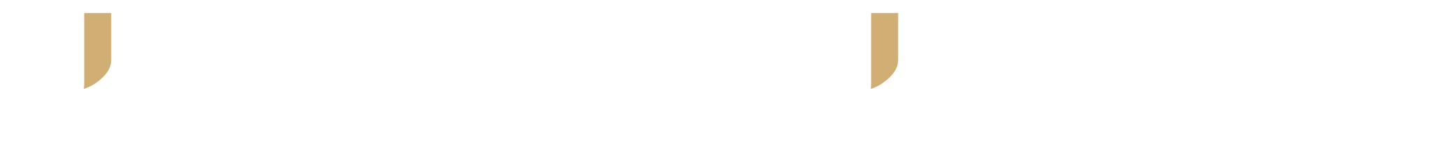 logo main